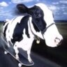 sleepycow