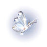 Heartsurg098