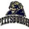Pitt Panther