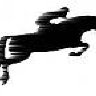 Equus caballus