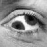 EyeDocPlus