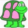 turtle 511