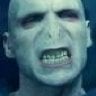 docvoldemort