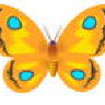 ButterflyKiss12