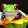 frogsgirl