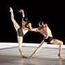dancertodr