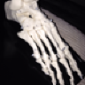 popliteal16
