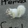 premedCarl