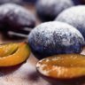 plum_berry