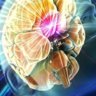 Neurok_docd