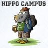 Hippo Campus