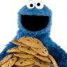 thecookiemonster