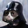 DarthKat