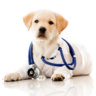 medhopeful131