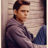 Stay.gold.Ponyboy