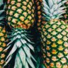 pineapple93