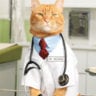 Dr. Flouncy Meow