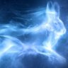 RabbitPatronus