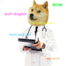 DogeDO