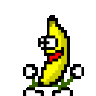 iowatheodore