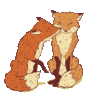 fox.paws