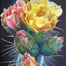 cactus.flower