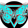 ButterflyBeing