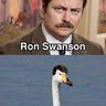 Swan Ronson