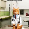 Dr.Nursekat