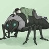 Shino’s Beetles