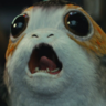 Porgception