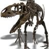 Osteosaur