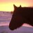 EquineQueen