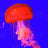 red_jellyfish