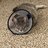 AshCat89
