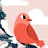 flossybird