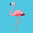 PinkySquawks