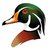 woodduck