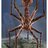 Bacteriophage-