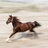 sportyhorsey