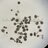 Executioner Caspase-7