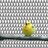 foibleBird1!56