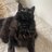 blackcatlover
