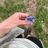 mountainflower20