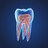 endoblast