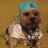 doggydog210