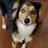 Nellie_011