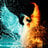 Firephoenix938