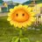 SunnyDash