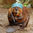 BeaverBlade